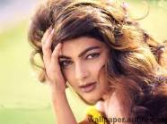 Bangshadhar